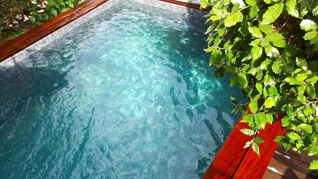 A Chiosella Bed & Breakfast Corbara Exterior photo
